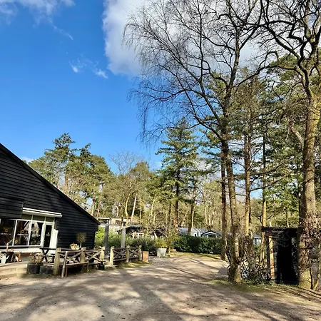 Luxe Tiny House Stec Midden Op De Veluwe In *