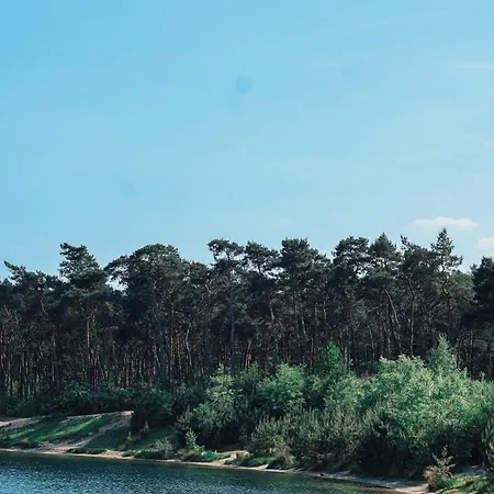 Japandi Tiny House Stec Op De Veluwe 펜션 넌스피트