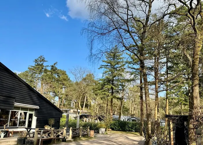 Luxe Tiny House Stec Midden Op De Veluwe In *